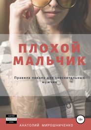 бесплатно читать книгу Плохой мальчик автора Анатолий Мирошниченко