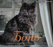 бесплатно читать книгу Боно. Удивительная история спасенного кота, вдохновившего общество автора Хелен Браун