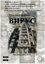 бесплатно читать книгу Вирус автора Валерий Краснобородько