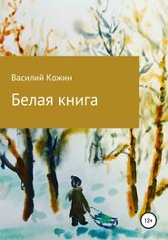 бесплатно читать книгу Белая книга автора Василий Кожин