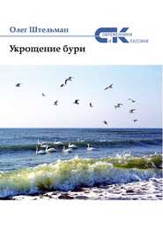 бесплатно читать книгу Укрощение бури (сборник) автора Олег Штельман