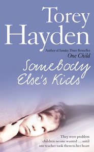бесплатно читать книгу Somebody Else’s Kids автора Torey Hayden