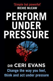 бесплатно читать книгу Performance Under Pressure автора Ceri Evans