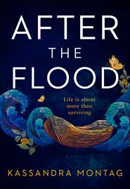 бесплатно читать книгу After the Flood автора Kassandra Montag
