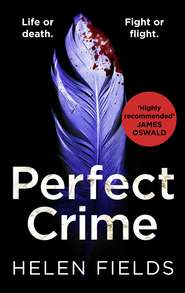 бесплатно читать книгу Perfect Crime автора Helen Fields