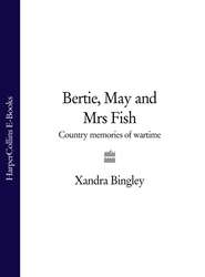 бесплатно читать книгу Bertie, May and Mrs Fish автора Xandra Bingley