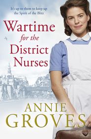 бесплатно читать книгу Wartime for the District Nurses автора Annie Groves