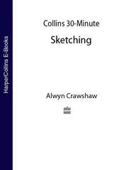 бесплатно читать книгу Collins 30-Minute Painting автора Alwyn Crawshaw