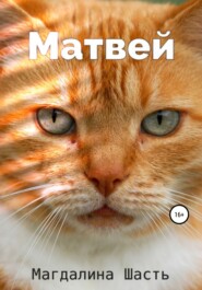 бесплатно читать книгу Матвей автора Магдалина Шасть