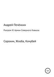 бесплатно читать книгу Разгром ХI Армии Северного Кавказа автора Андрей Печёнкин