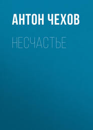 бесплатно читать книгу Несчастье автора Антон Чехов