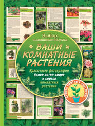 бесплатно читать книгу Ваши комнатные растения автора Галина Попова