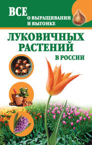бесплатно читать книгу Все о выращивании и выгонке луковичных растений в России автора Татьяна Литвинова
