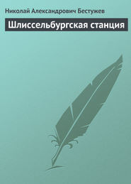 бесплатно читать книгу Шлиссельбургская станция автора Николай Бестужев