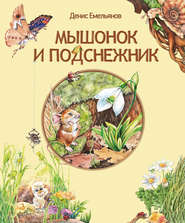 бесплатно читать книгу Мышонок и Подснежник (сборник) автора Денис Емельянов