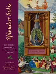 бесплатно читать книгу Splendor Solis. Все секреты легендарного алхимического трактата автора Стивен Скиннер