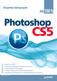 бесплатно читать книгу Photoshop CS5 на 100% автора Владимир Завгородний