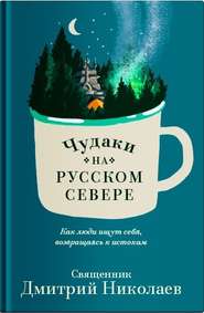 бесплатно читать книгу Чудаки на Русском Севере автора Дмитрий Николаев