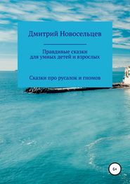 бесплатно читать книгу Правдивые сказки для умных детей и взрослых. Сказки про русалок и гномов автора Дмитрий Новосельцев