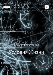 бесплатно читать книгу Условия жизни автора Камиль Халмурадов