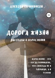 бесплатно читать книгу Дорога жизни автора Алексей Овчинников