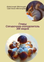 бесплатно читать книгу Грибы. Справочник-определитель 300 видов автора Светлана Матанцева