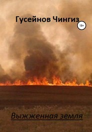 бесплатно читать книгу Выжженная земля автора Чингиз Гусейнов