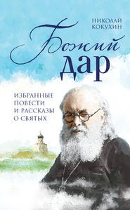 бесплатно читать книгу Божий дар автора Николай Кокухин
