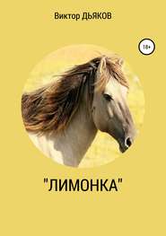 бесплатно читать книгу «Лимонка» автора Виктор Дьяков