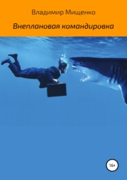 бесплатно читать книгу Внеплановая командировка автора владимир мищенко