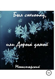 бесплатно читать книгу Был снегопад, или Дорога домой автора Михаил Монастырский