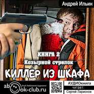 бесплатно читать книгу Козырной стрелок автора Андрей Ильин