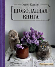 бесплатно читать книгу Шоколадная книга автора Олеся Куприн