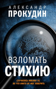 бесплатно читать книгу Взломать стихию автора Александр Прокудин