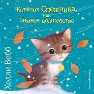 бесплатно читать книгу Котёнок Снежинка, или Зимнее волшебство автора Холли Вебб