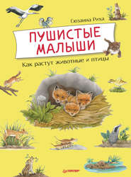 бесплатно читать книгу Пушистые малыши. Как растут животные и птицы автора Сюзанна Риха