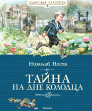 бесплатно читать книгу Тайна на дне колодца автора Николай Носов