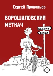 бесплатно читать книгу Ворошиловский меткач автора Сергей Прокопьев