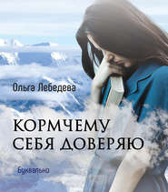 бесплатно читать книгу Кормчему себя доверяю автора Ольга Лебедева