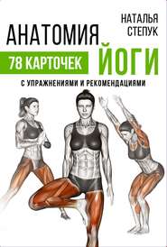 бесплатно читать книгу Анатомия йоги. 78 карточек с упражнениями и рекомендациями автора Наталья Степук