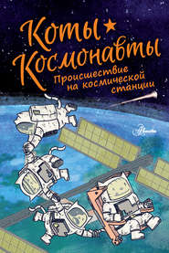 бесплатно читать книгу Коты-космонавты. Происшествие на космической станции автора Дрю Брокингтон