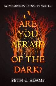 бесплатно читать книгу Are You Afraid of the Dark? автора Seth Adams