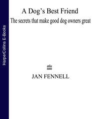бесплатно читать книгу A Dog’s Best Friend: The Secrets that Make Good Dog Owners Great автора Jan Fennell