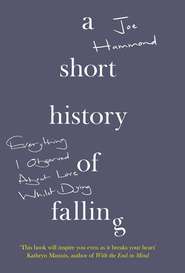 бесплатно читать книгу A Short History of Falling: Everything I Observed About Love Whilst Dying автора Joe Hammond