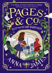 бесплатно читать книгу Pages & Co.: Tilly and the Lost Fairy Tales автора Anna James