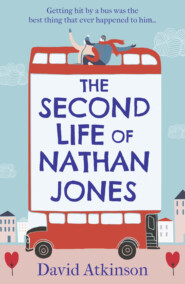 бесплатно читать книгу The Second Life of Nathan Jones: A laugh out loud, OMG! romcom that you won’t be able to put down! автора David Atkinson