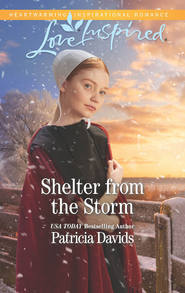 бесплатно читать книгу Shelter From The Storm автора Patricia Davids