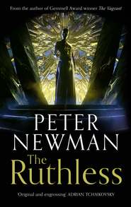 бесплатно читать книгу The Ruthless автора Peter Newman