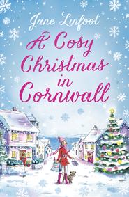 бесплатно читать книгу A Cosy Christmas in Cornwall автора Jane Linfoot