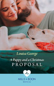 бесплатно читать книгу A Puppy And A Christmas Proposal автора Louisa George